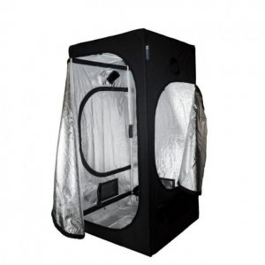 GH PROBOX BASIC 80